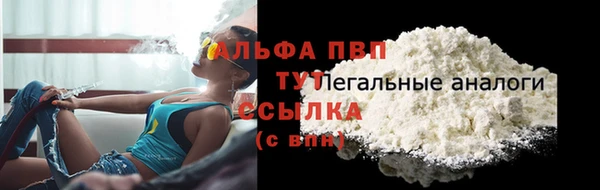 стаф Зеленокумск