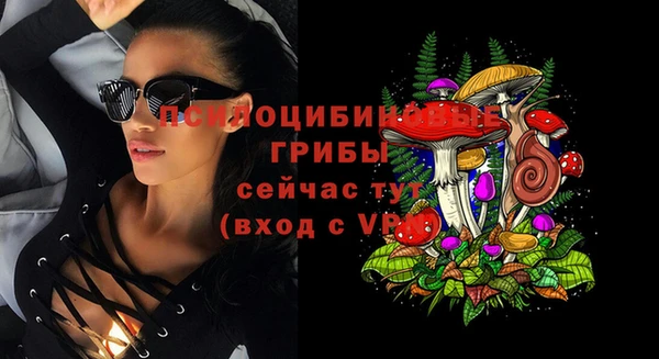 стаф Зеленокумск