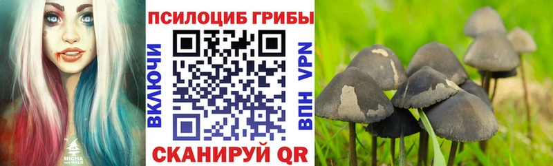 Псилоцибиновые грибы мухоморы  Купить где  Злынка 